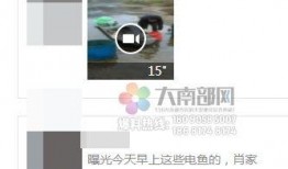 鱼爆料的视频大全播放,精彩瞬间回顾，笑料百出